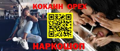 дживик Кингисепп