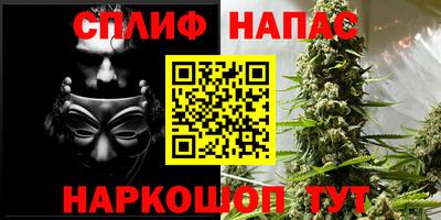 дживик Кингисепп