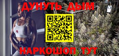 дживик Кингисепп