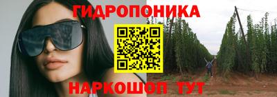 дмт Кинель