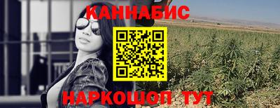 дживик Кингисепп
