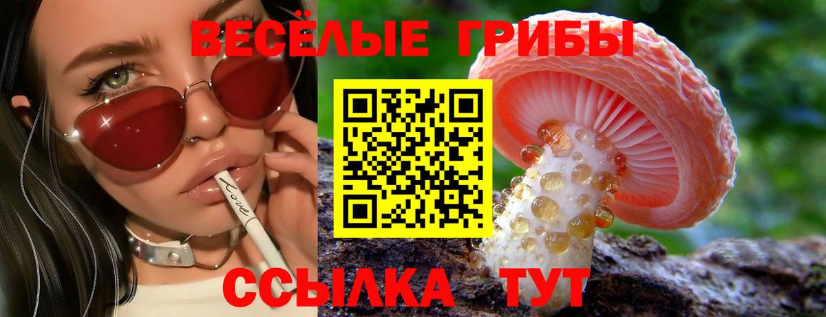 Псилоцибиновые грибы Cubensis  Вход с VPN  Балтийск 